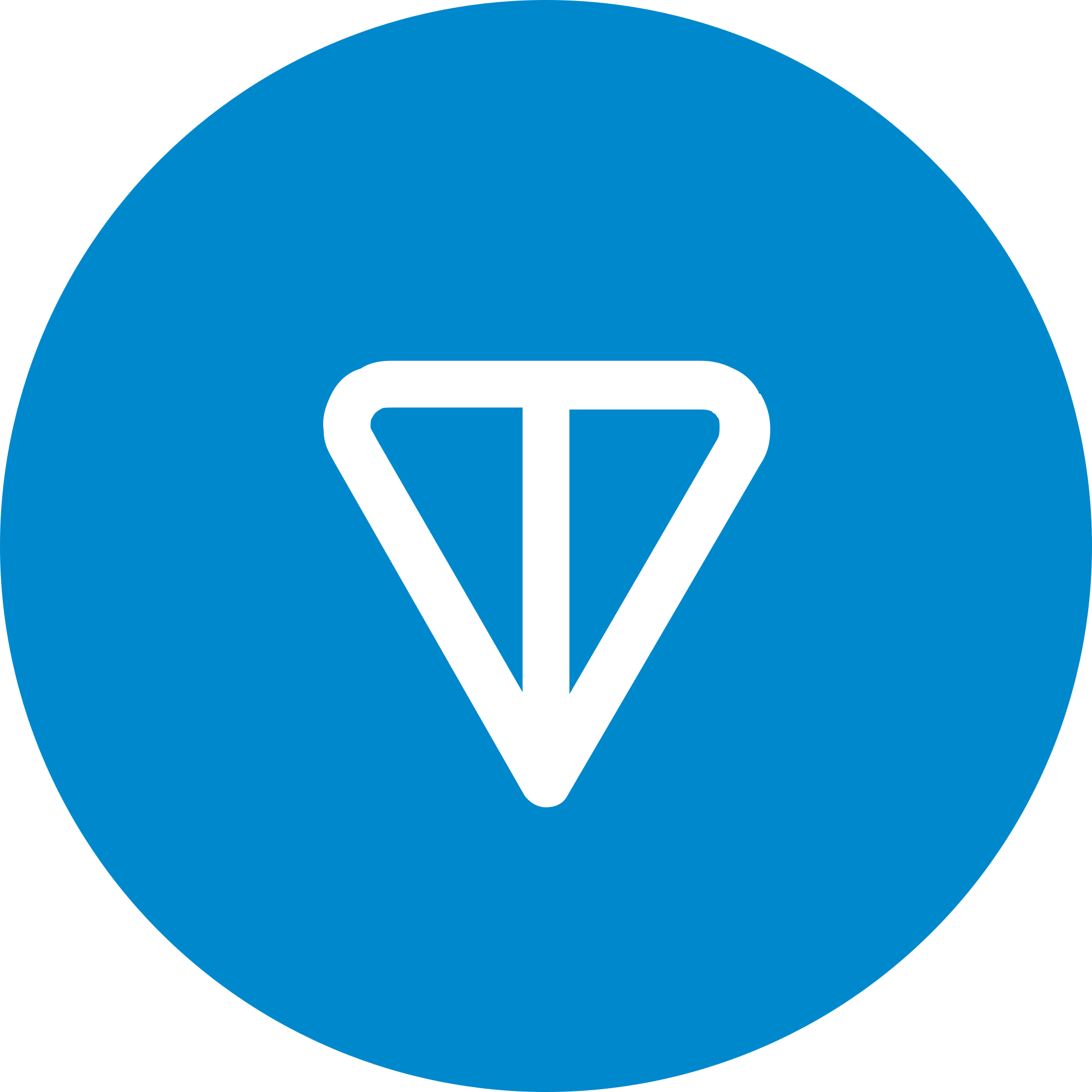 TON Portfolio Tracking logo